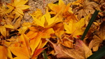 091228_204407.jpg